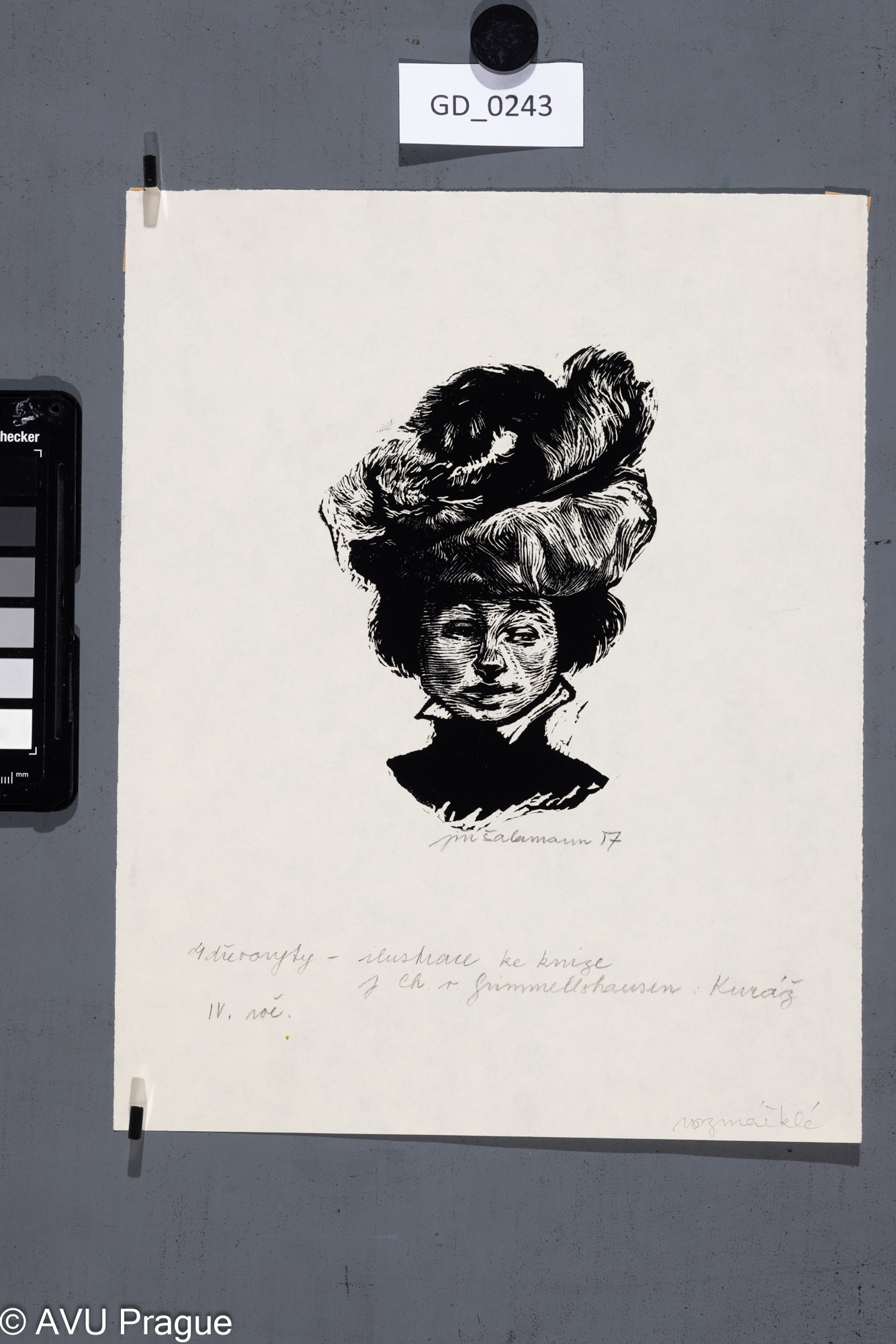 Hlava ženy v klobouku