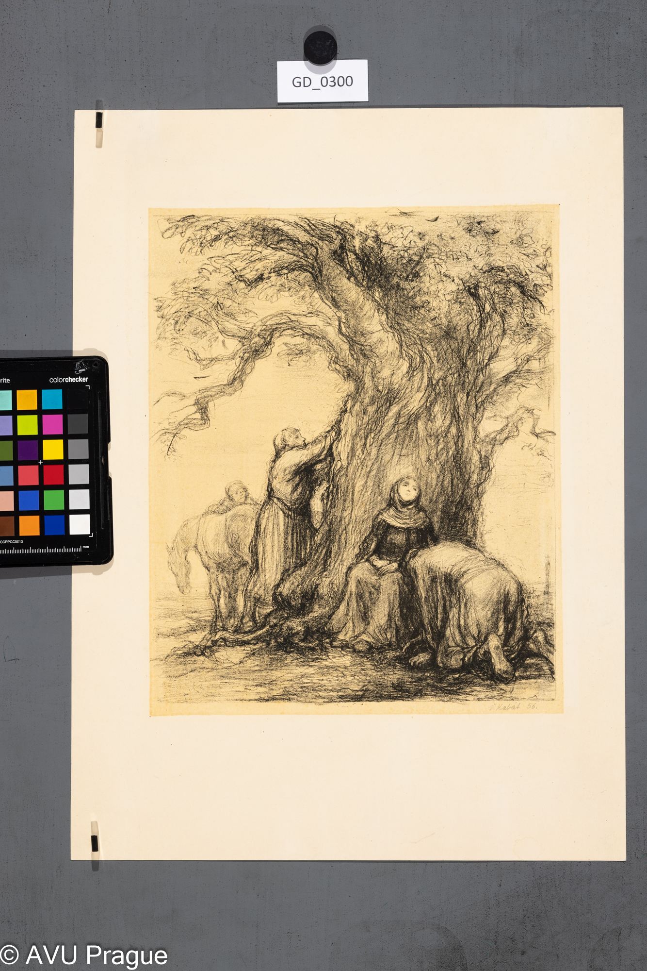 ilustrace_pohádky_pod stromem