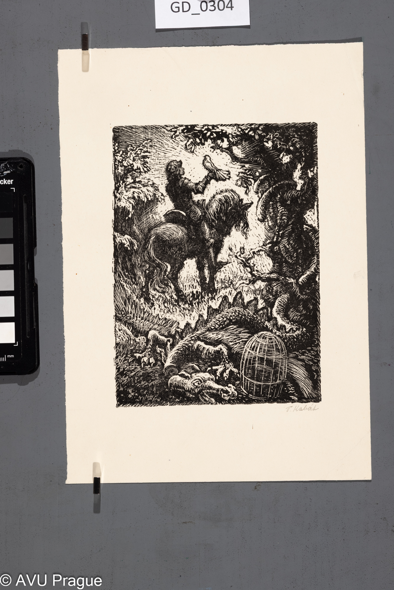 Pohádkový motiv_jezdec, pták