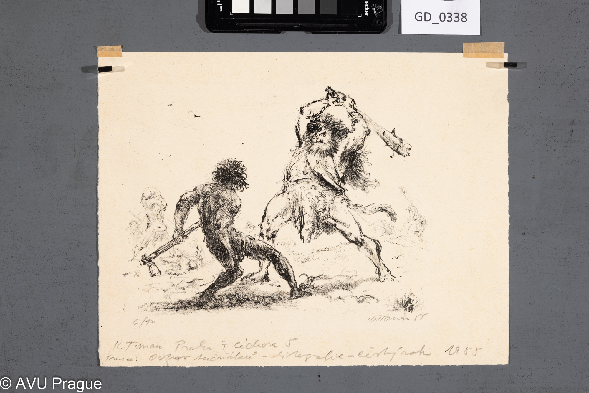 Ilustrace - Ostrov tučnákůn (Anatole France)