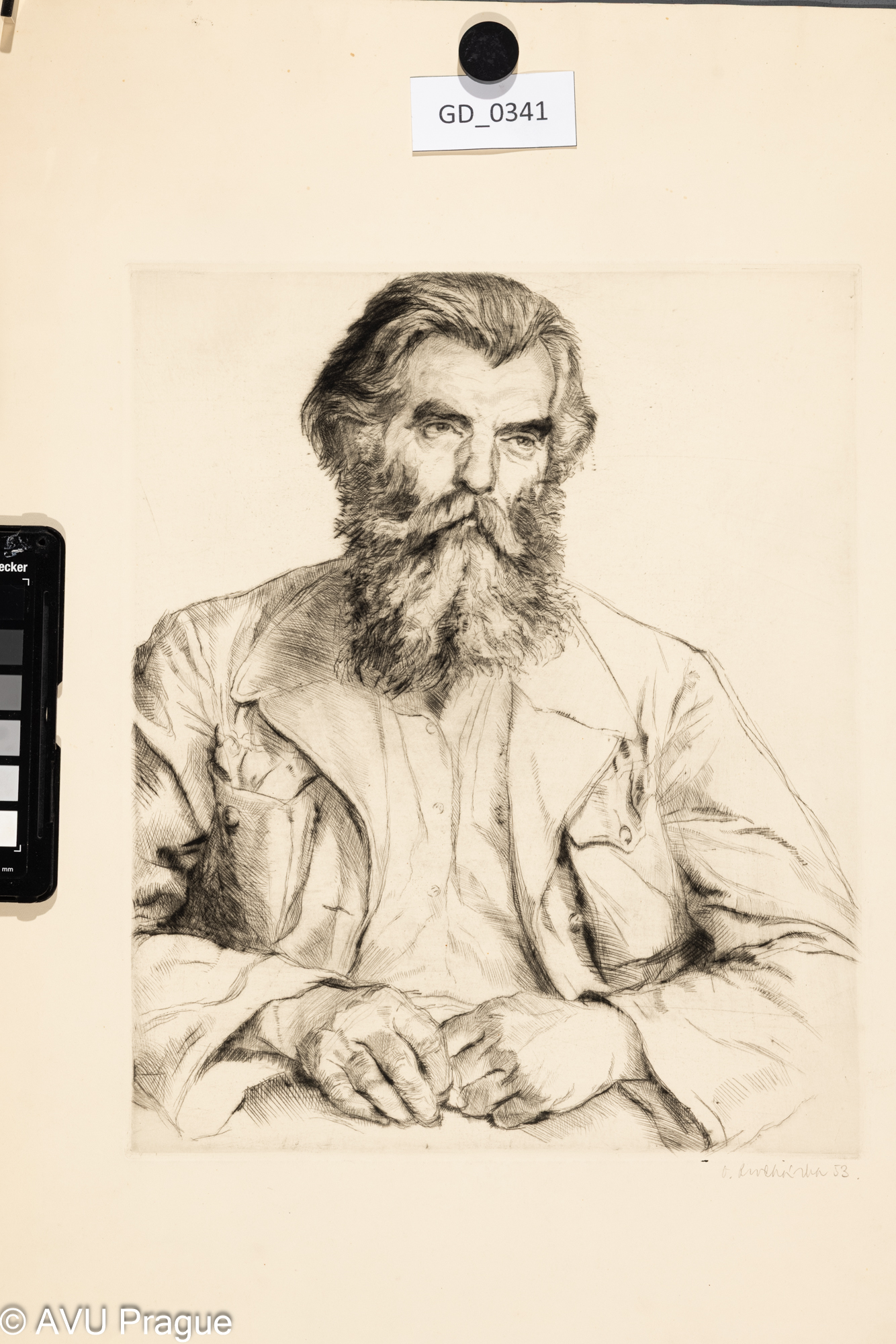 portrét muže s vousy