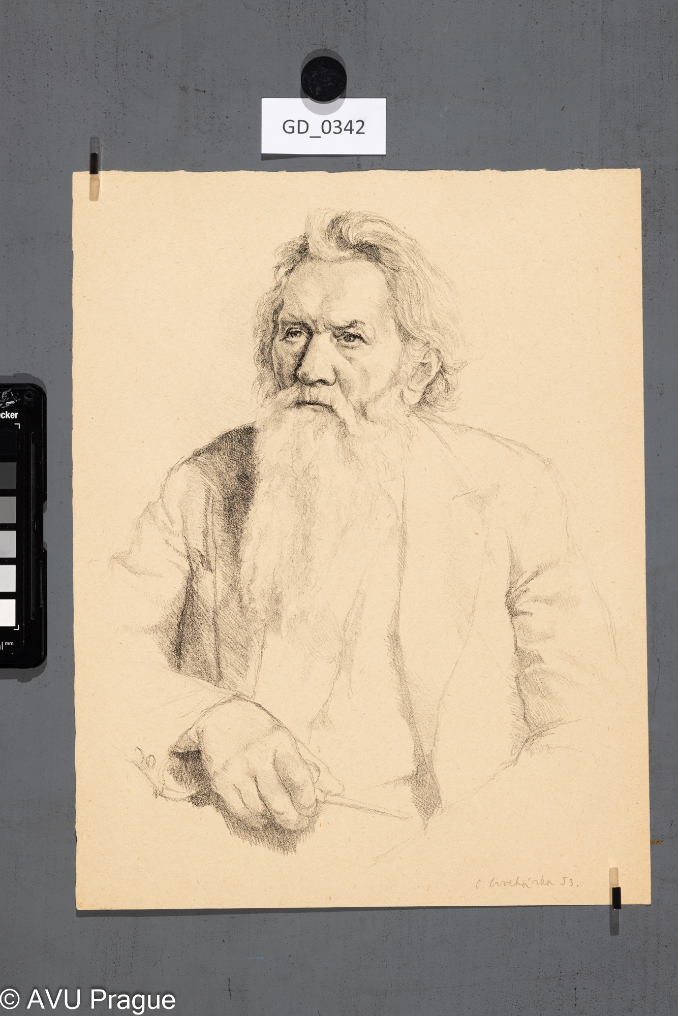 portrét muže s vousy