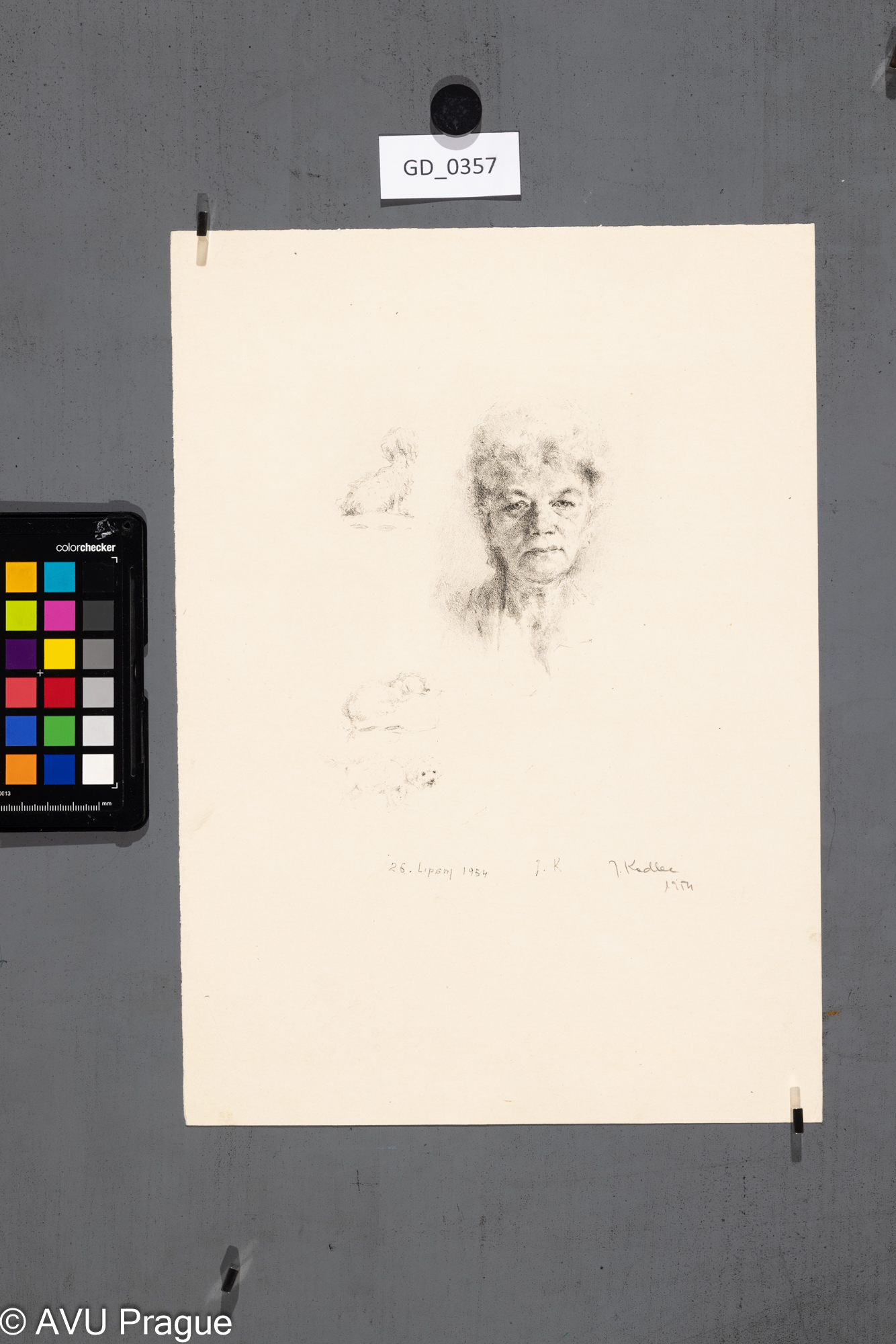 Hlava ženy a skici psů