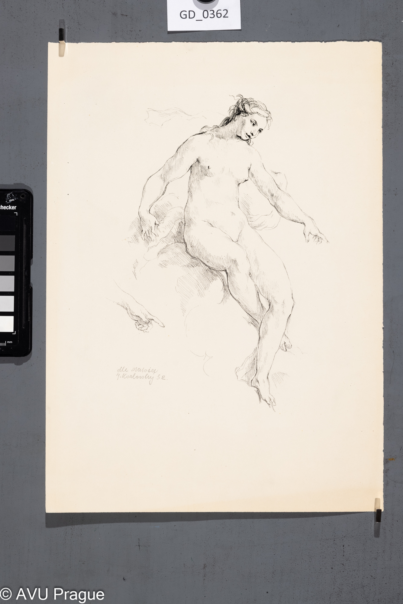 "dle maroize"_ ženský akt