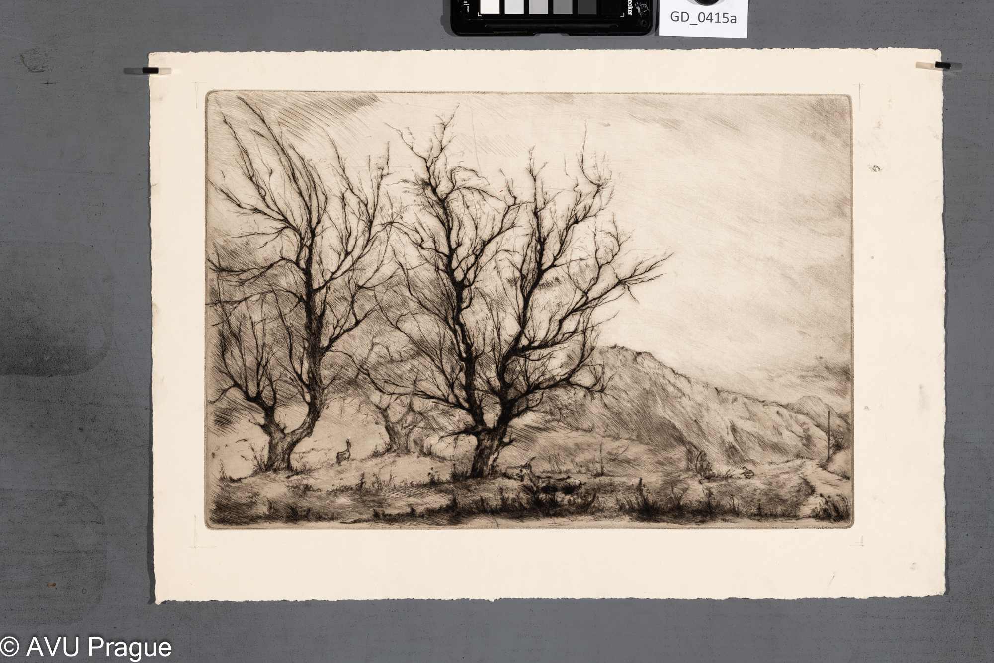 Podzimní krajina s dětmi a kozami