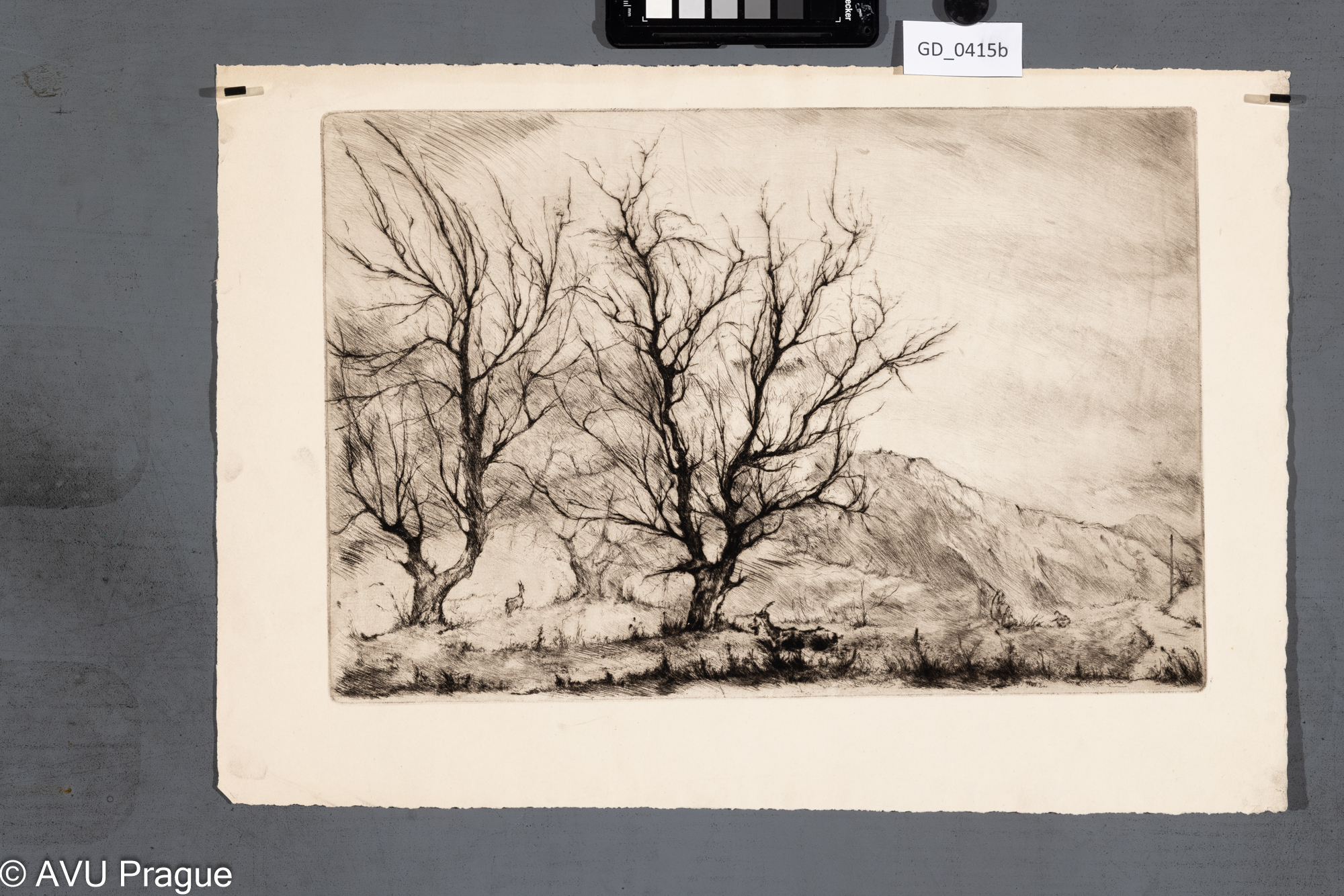 Podzimní krajina s dětmi a kozami