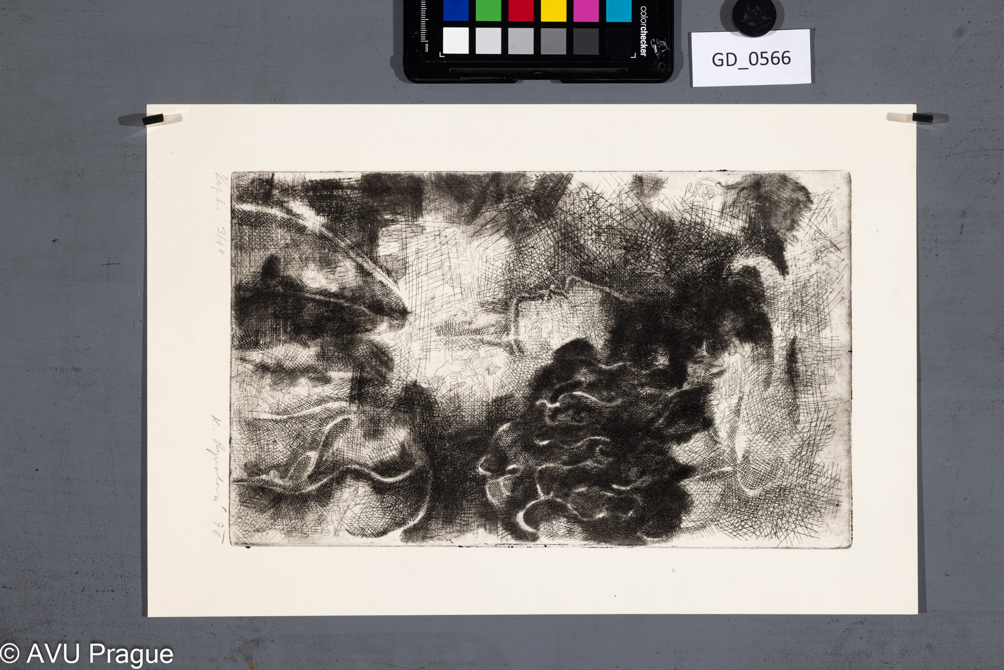 žena s baretem_profil