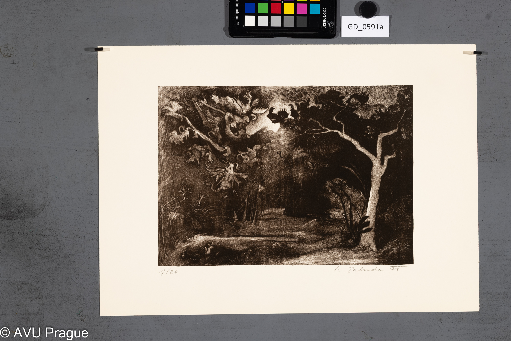 Ilustrace_příšery v lese