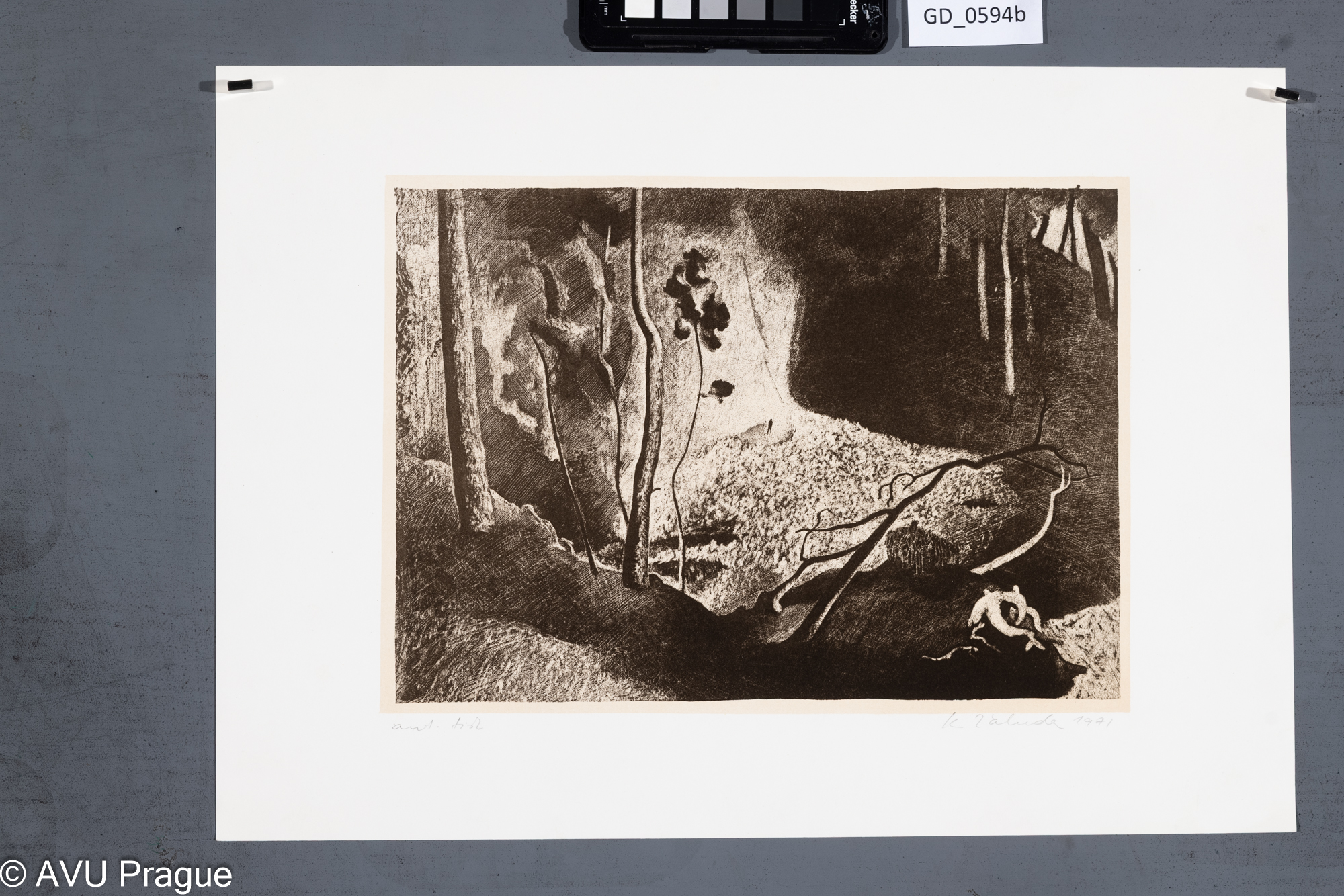 Ilustrace_dvojice v lese