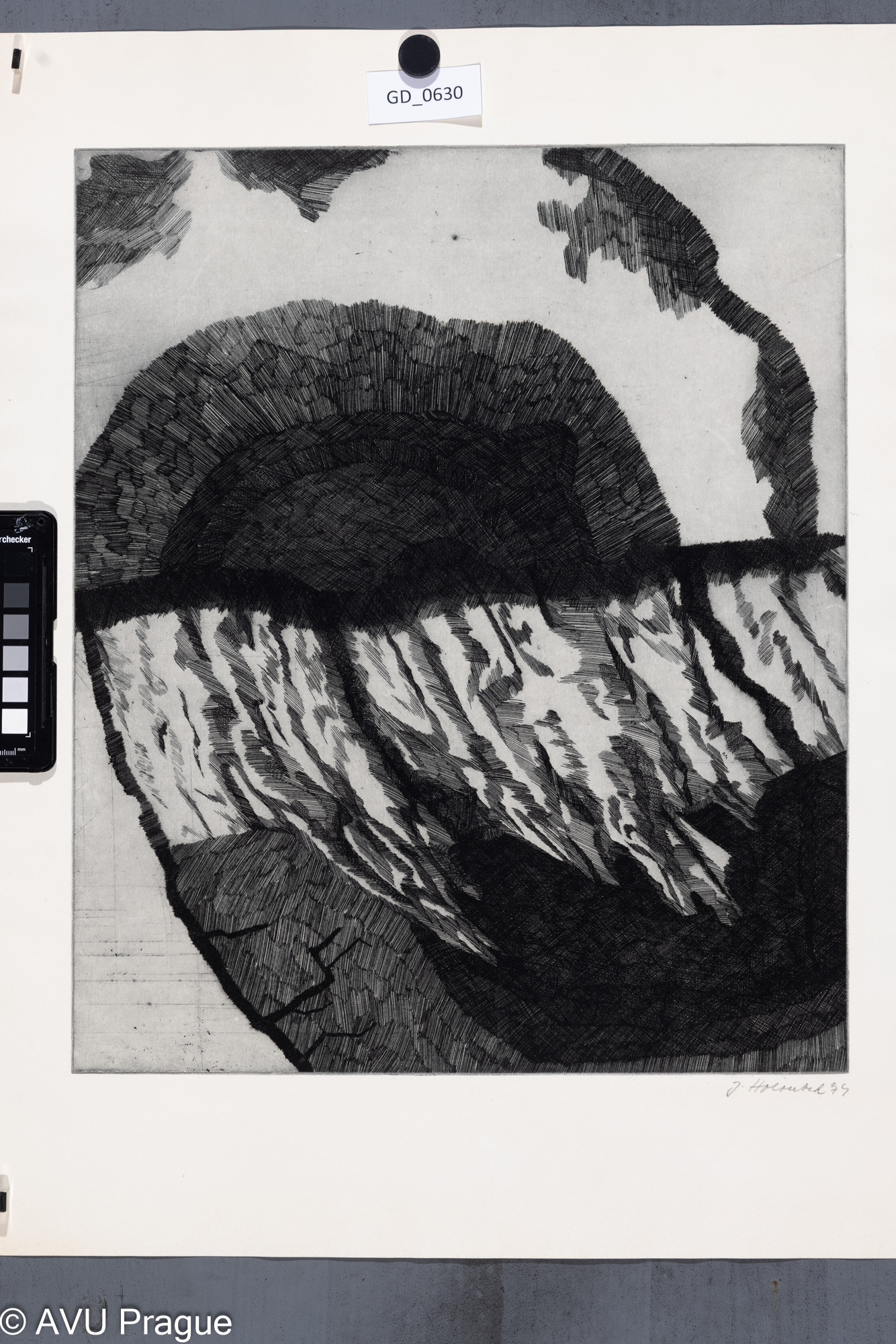 Abstraktní motiv I.