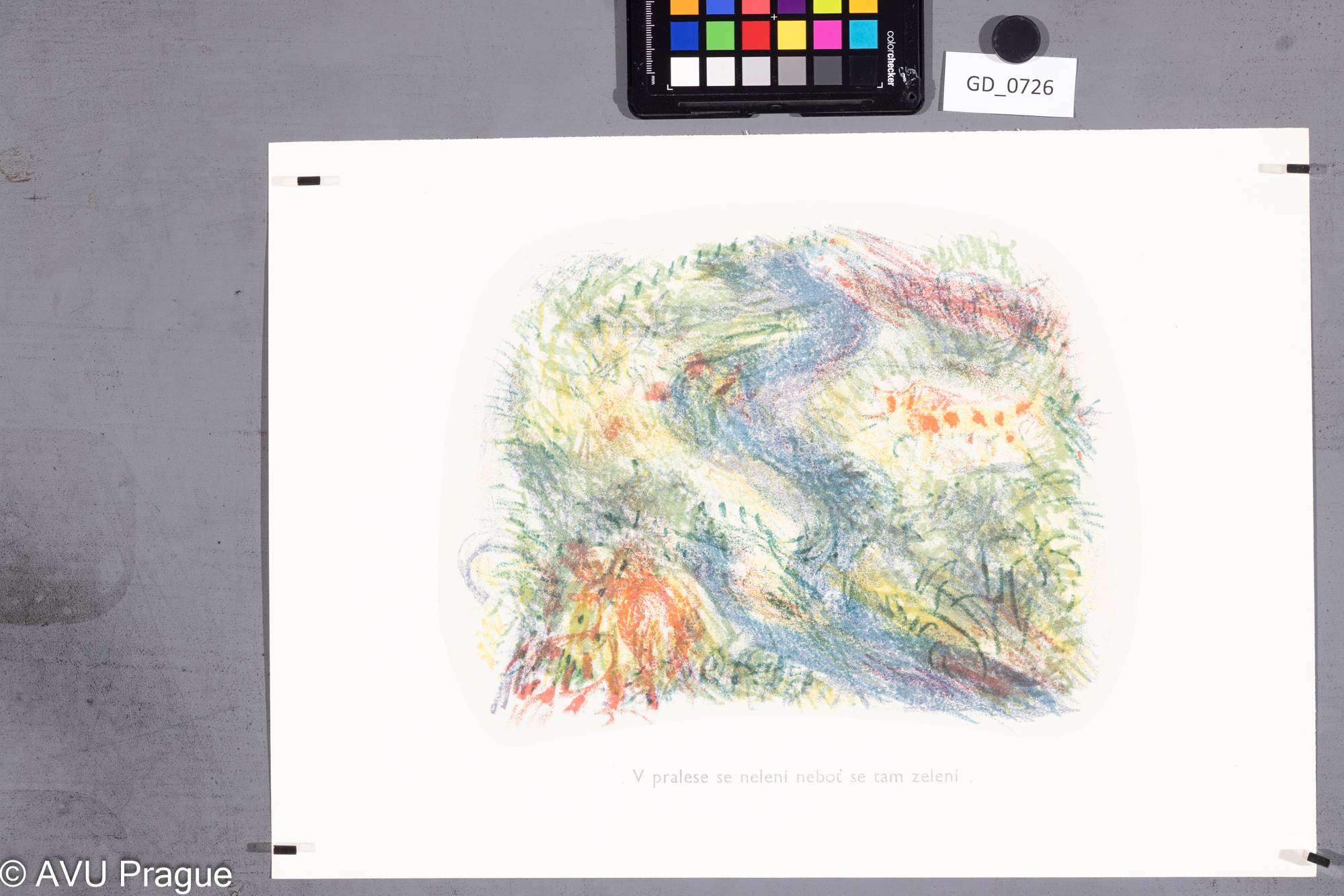 Důležitý atlas světa_V pralese se nelení ...