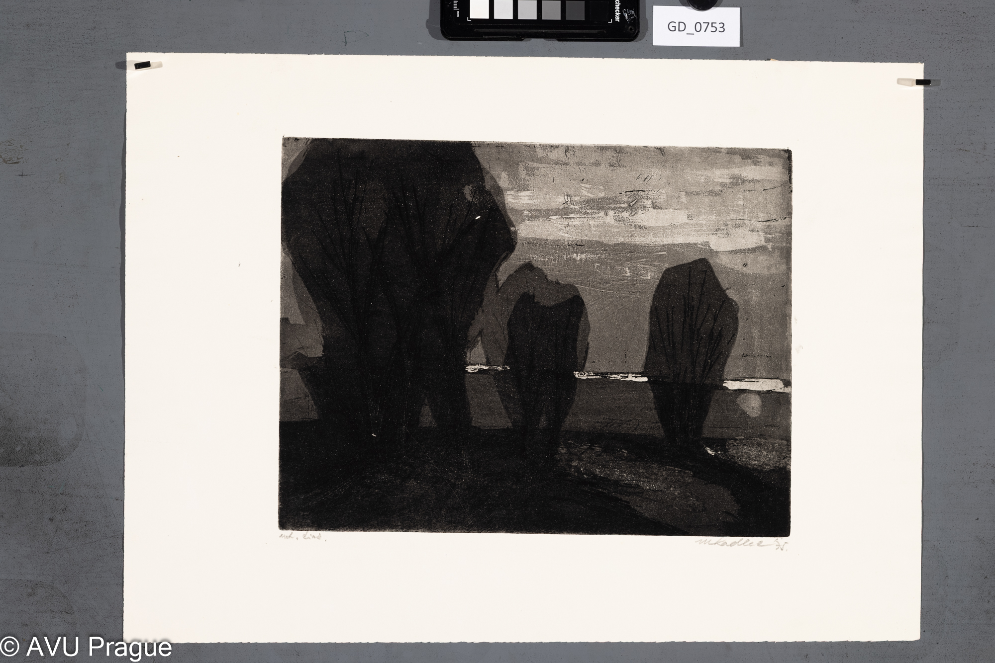 Tři keře v krajině