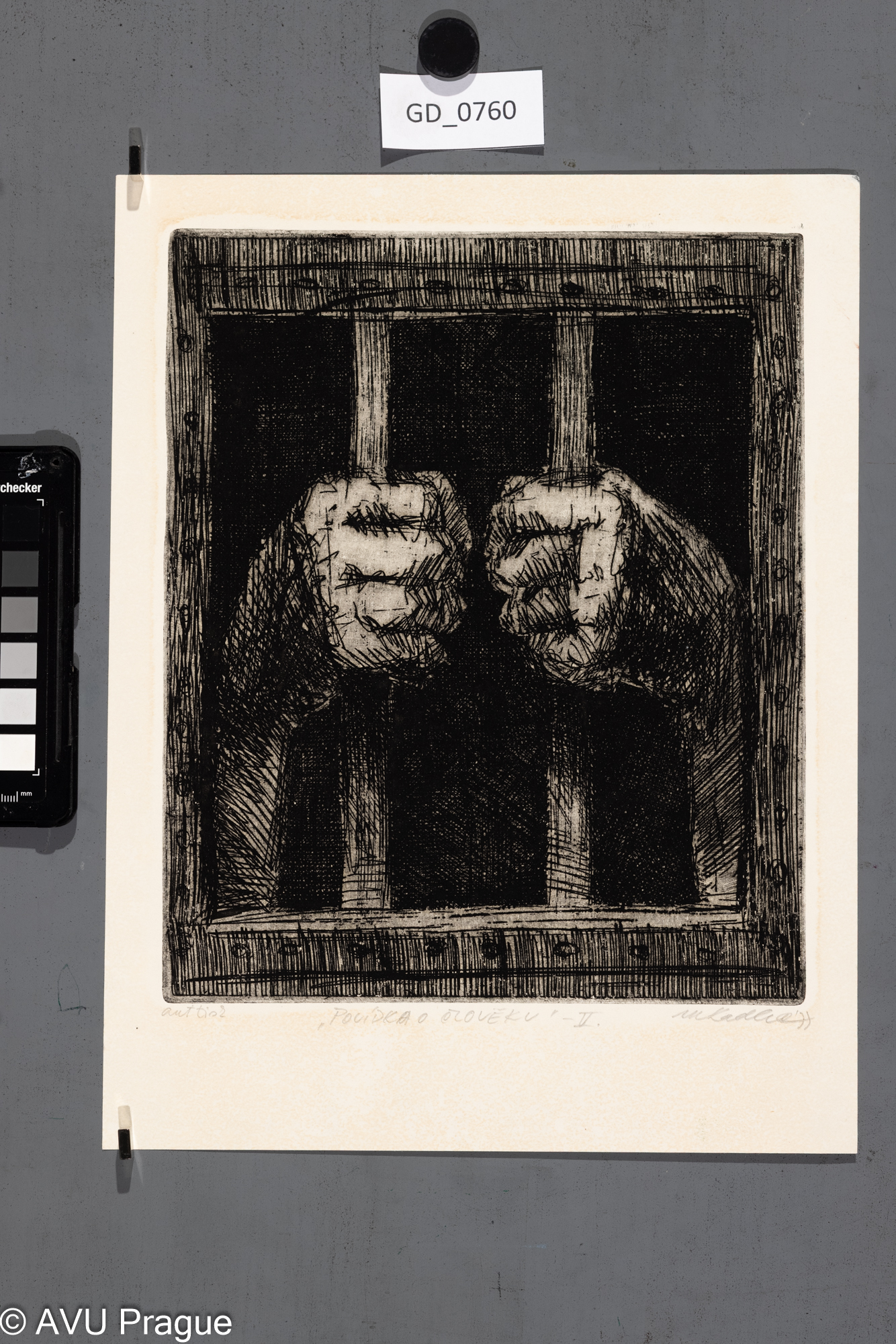 Povídka o člověku V.