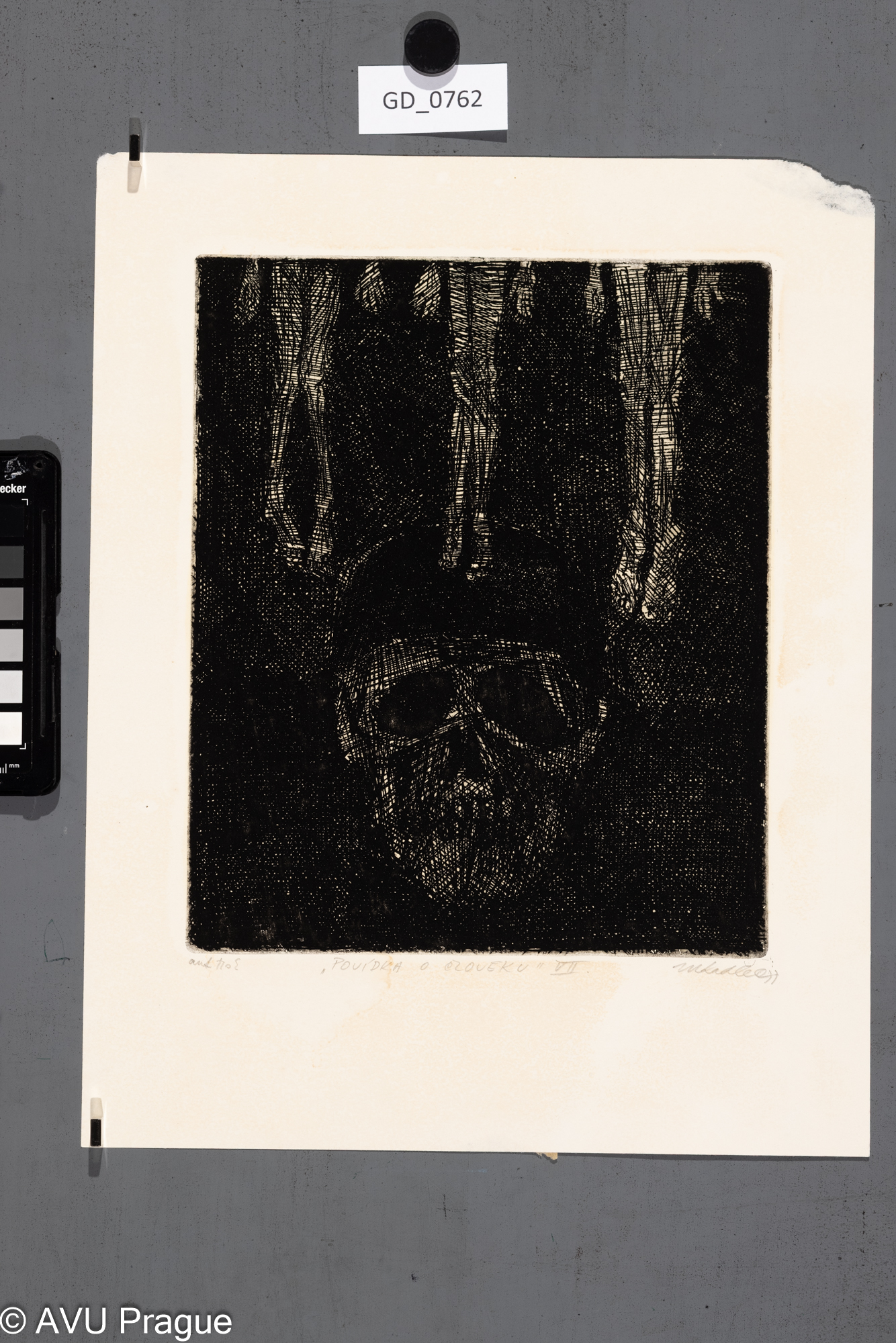 Povídka o člověku VII.