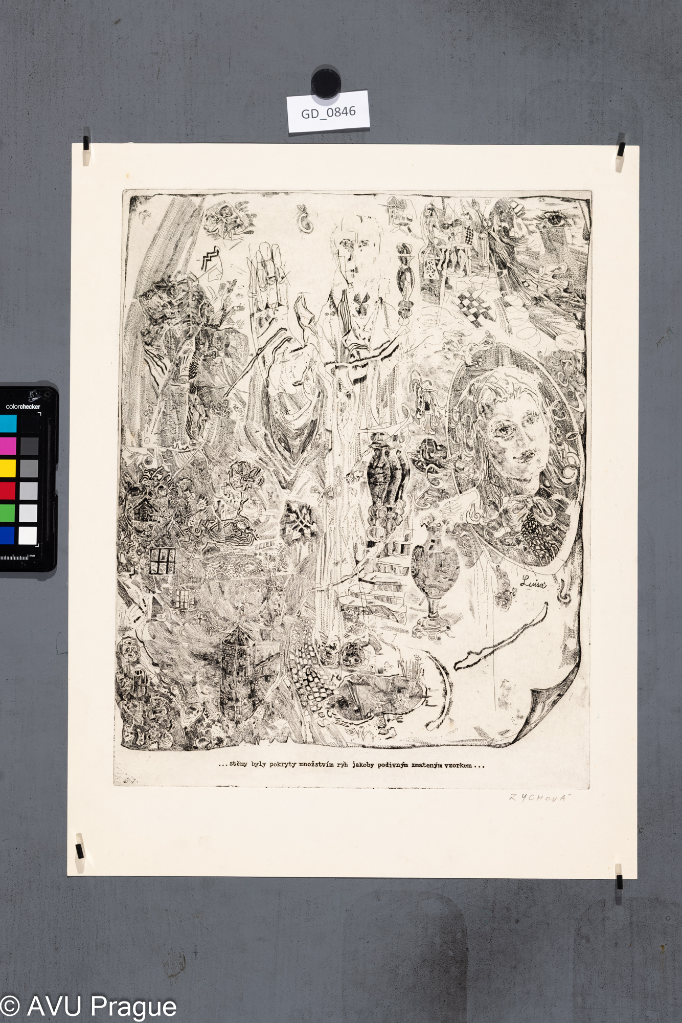 ....stěny byly pokryty množstvím ryb jakoby....