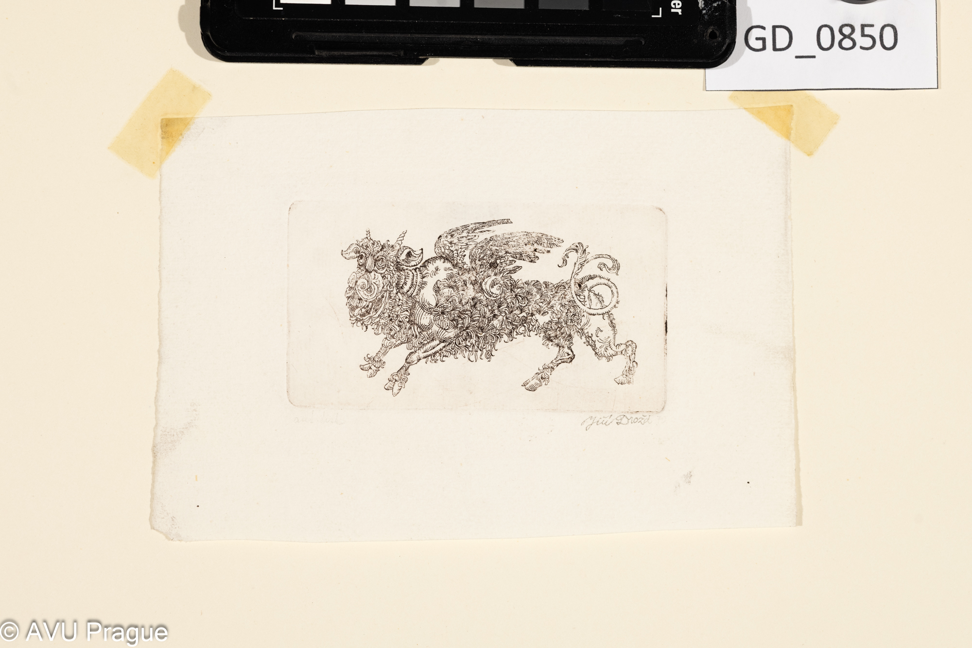 Kozorožec s křídly