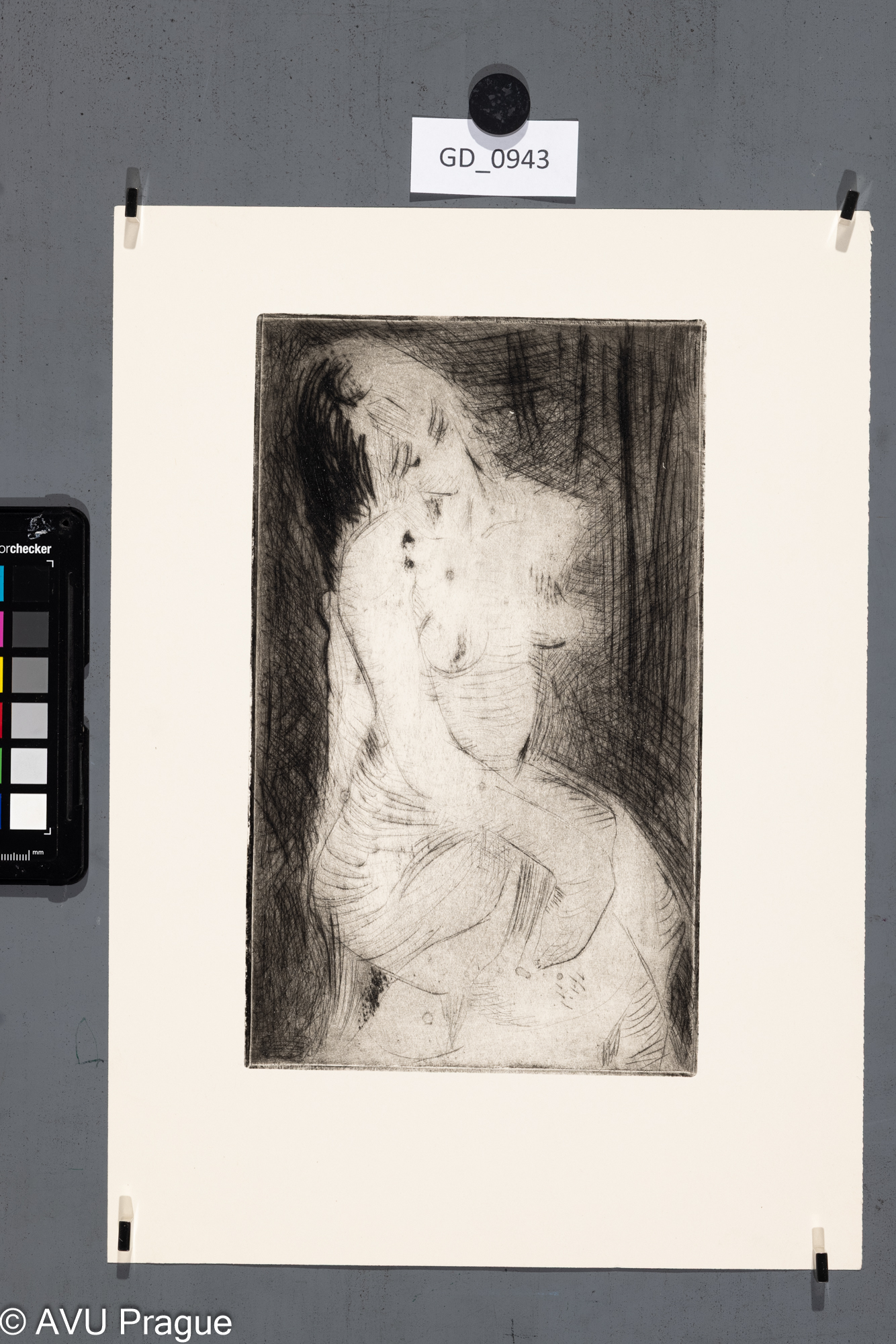 Model_ženská figura