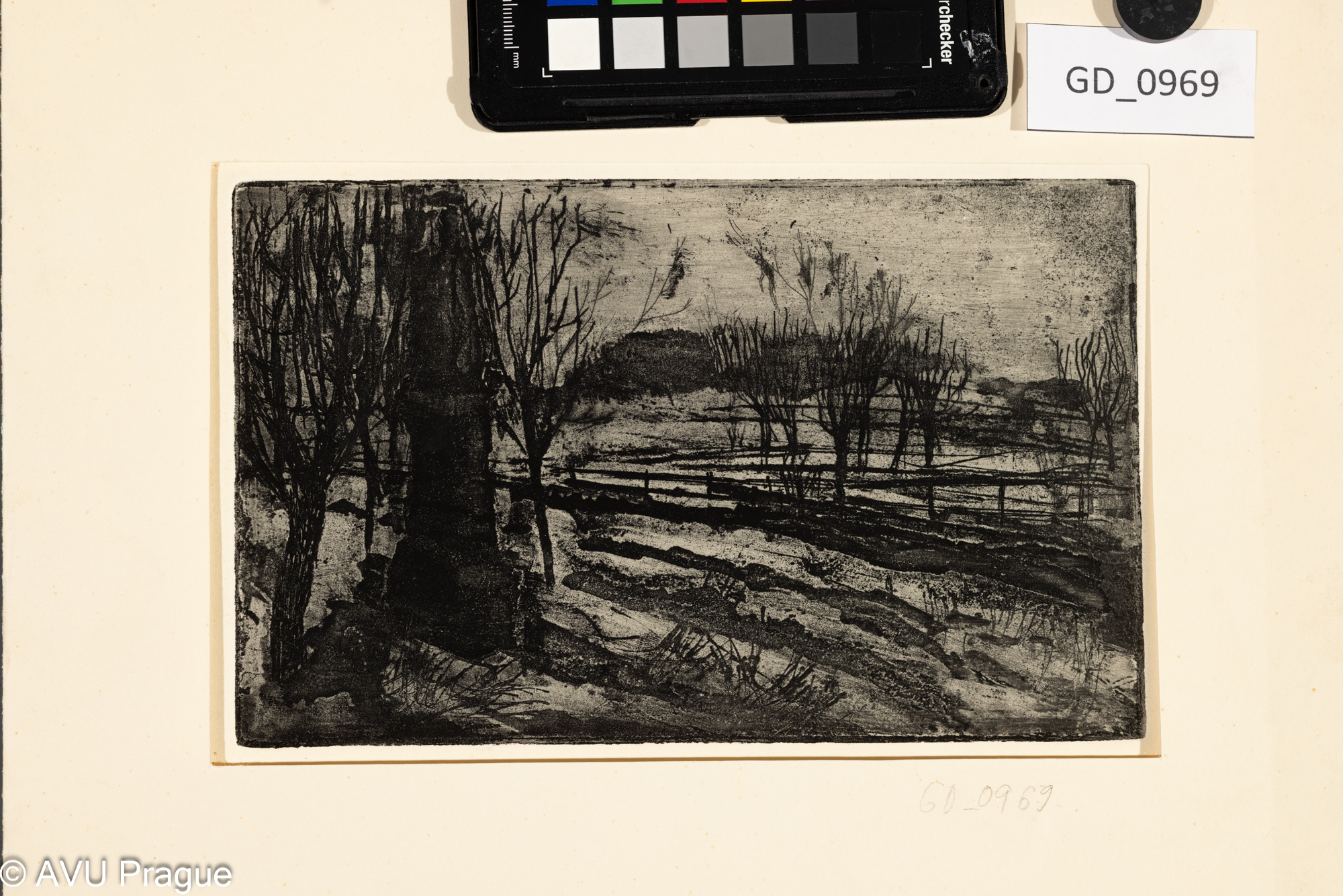 Krajina_pole a stromy