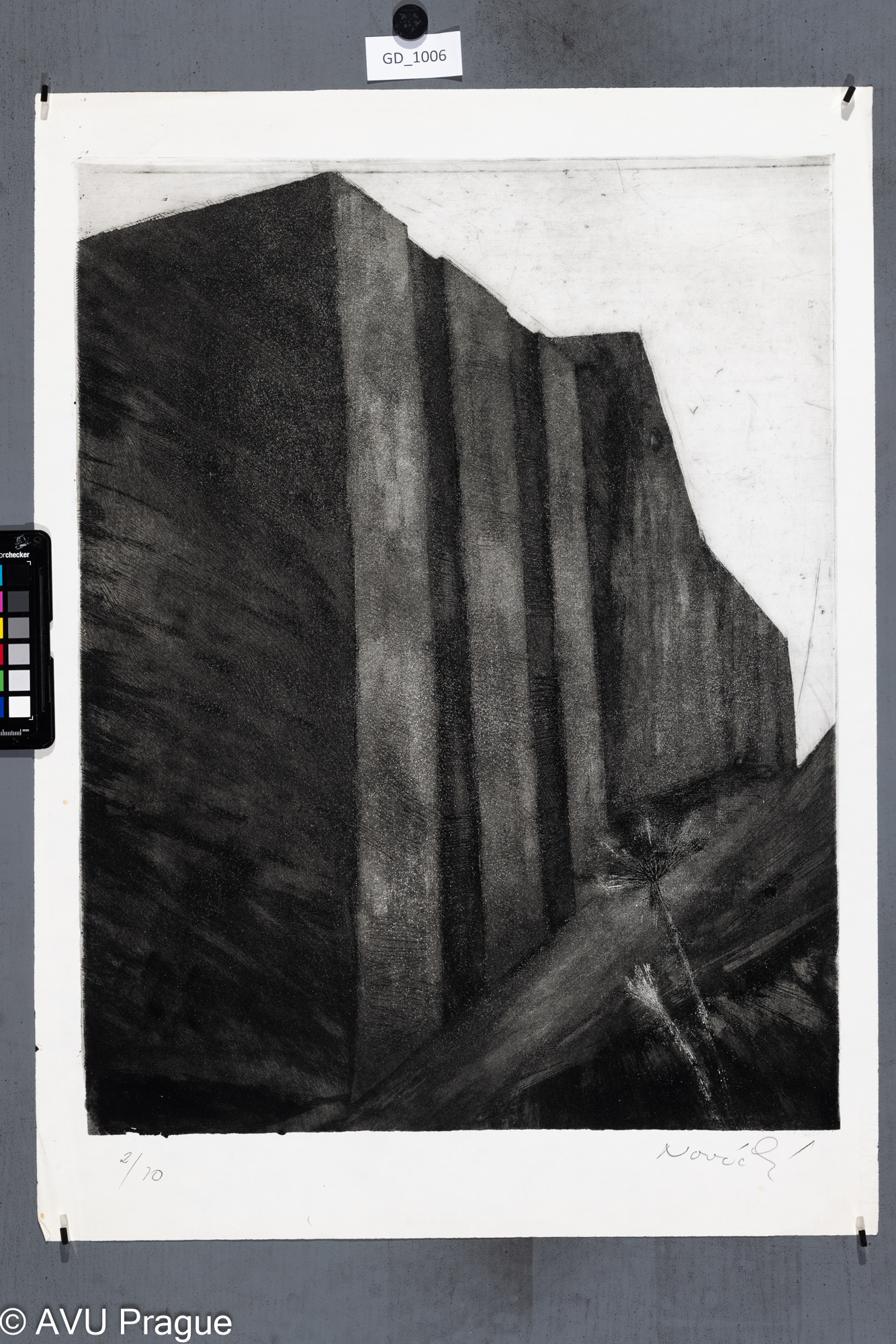 Architektura s pampeliškou