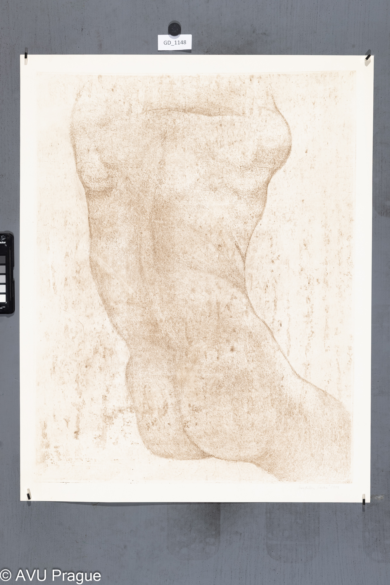 Z cyklu  Model (Honěk)