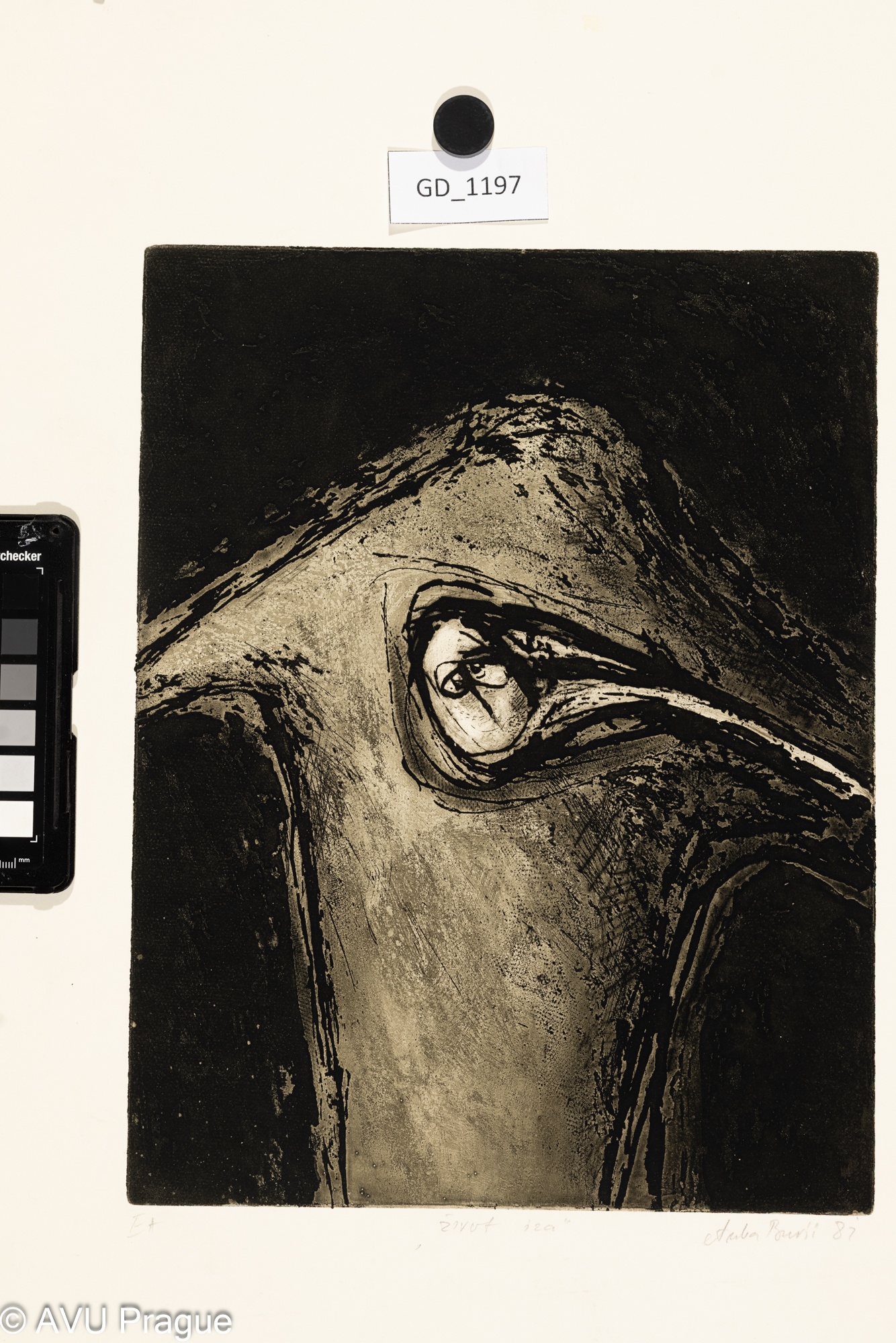 život  iza_život za zády